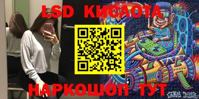 крисы Владимир