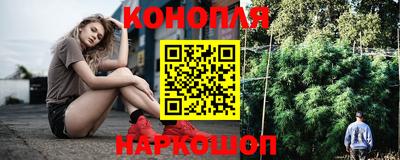 крисы Владикавказ