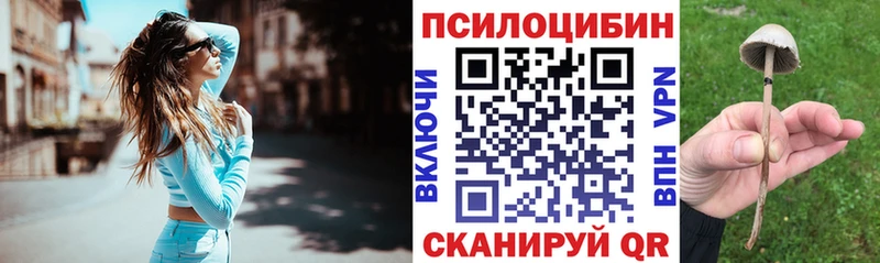Псилоцибиновые грибы Psilocybine cubensis  мега маркетплейс  Великий Новгород 